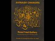 Click to view details and links for Avinash Chandra - Rose Fried Gallery catalogue 