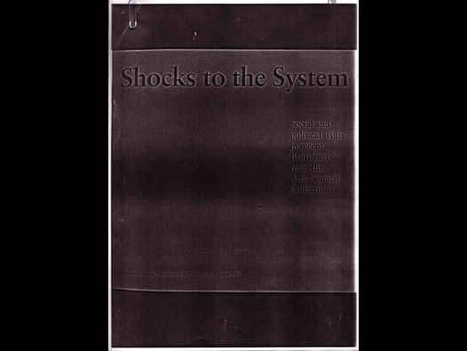 image of Shocks to the System