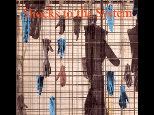 image of Shocks to the System - catalogue